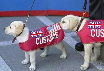 This is a joint Anglo-American mission and we can bet 1000 bucks that this dog is British !!!